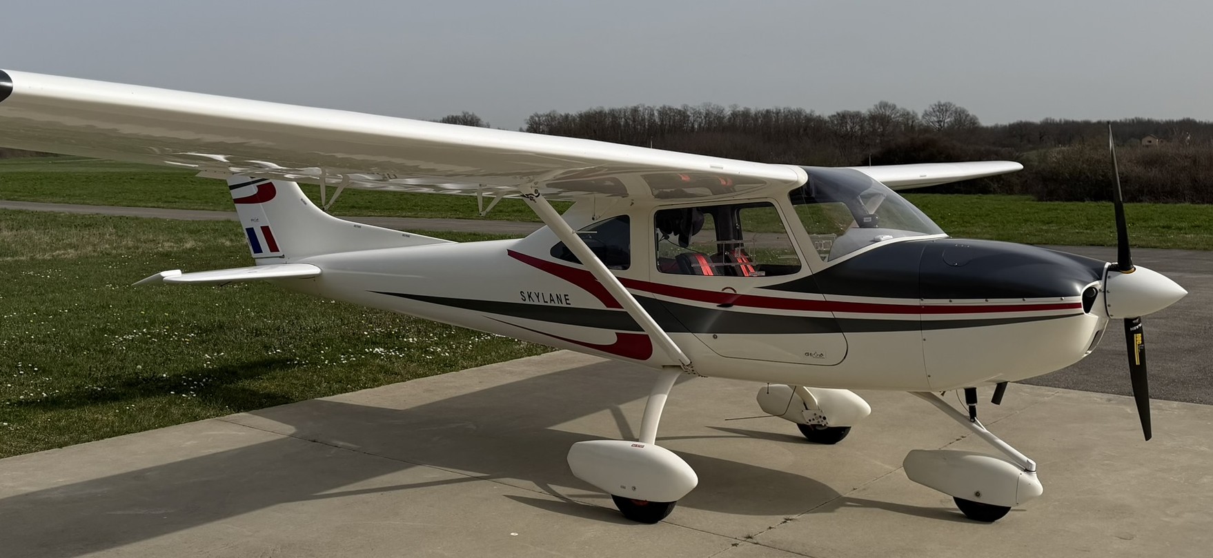 ulm Airlony - Skylane occasion